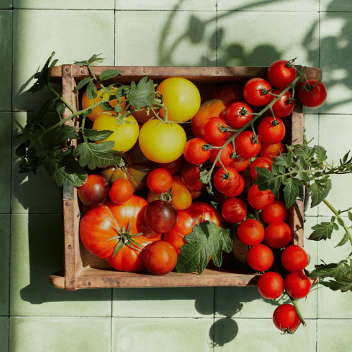 Tomatoes