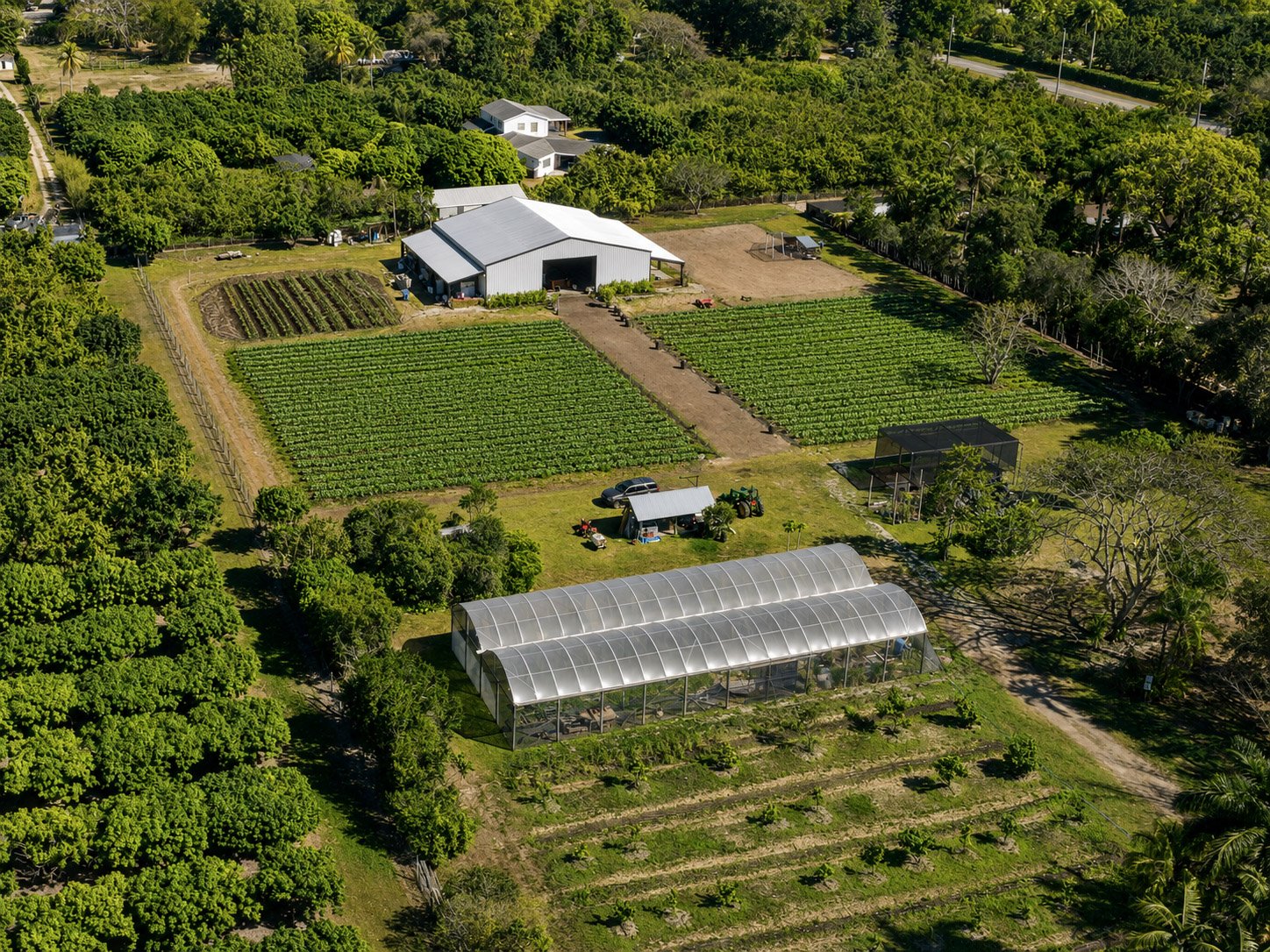 local farm