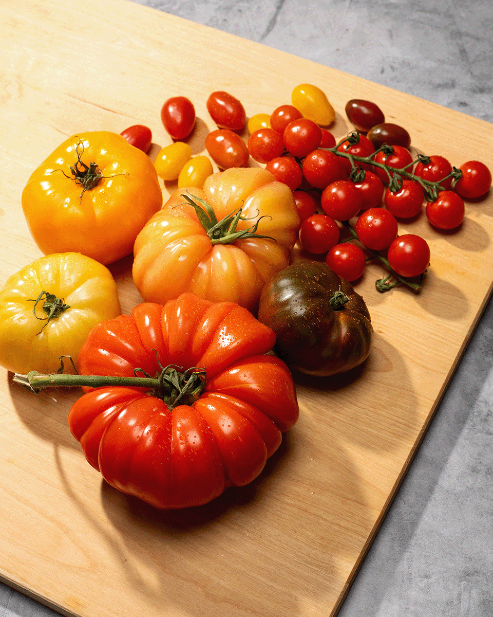 tomato category